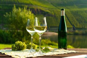 From Vineyard to Glass: Understanding the Wine Production Process