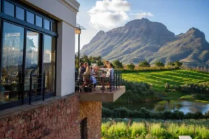 stellenbosch-wine-tasting-bartinney-private-cellar